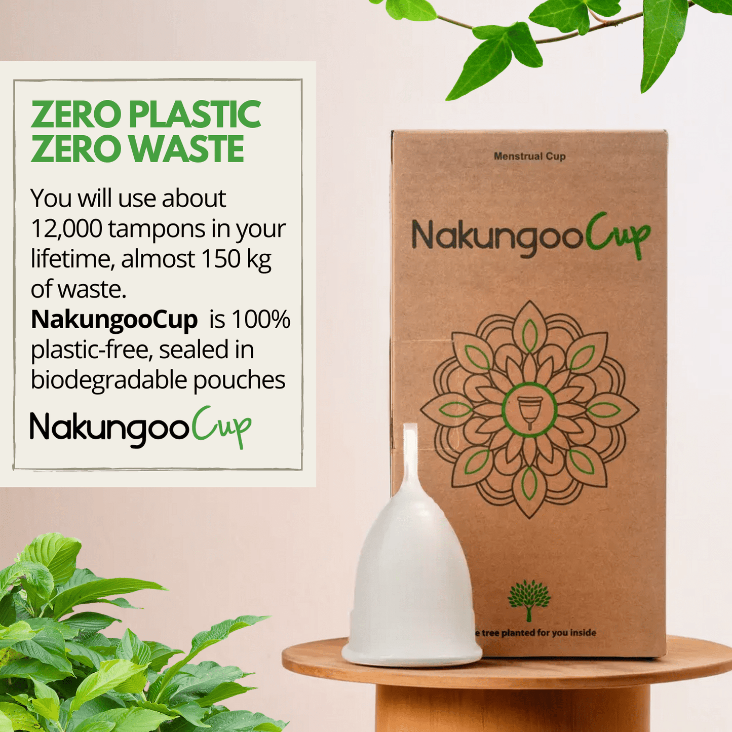 NakungooCup - Pack de Inicio Completo